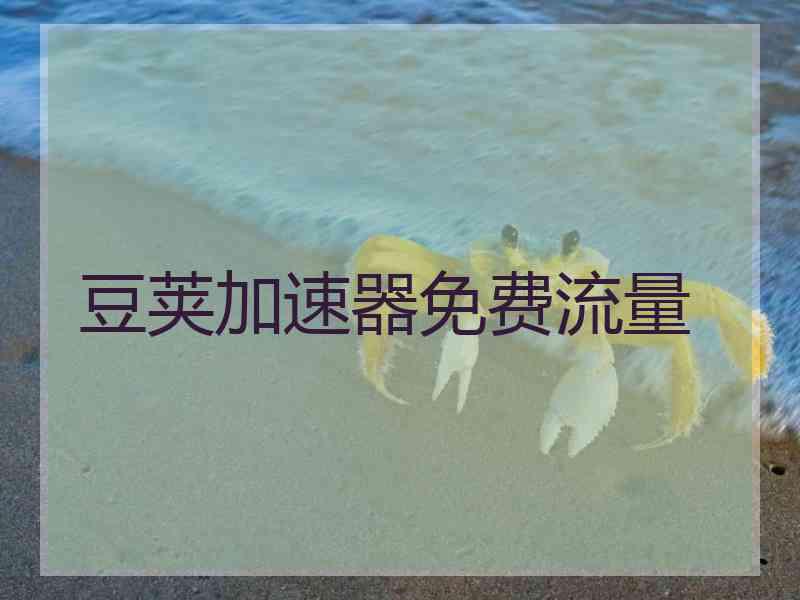 豆荚加速器免费流量