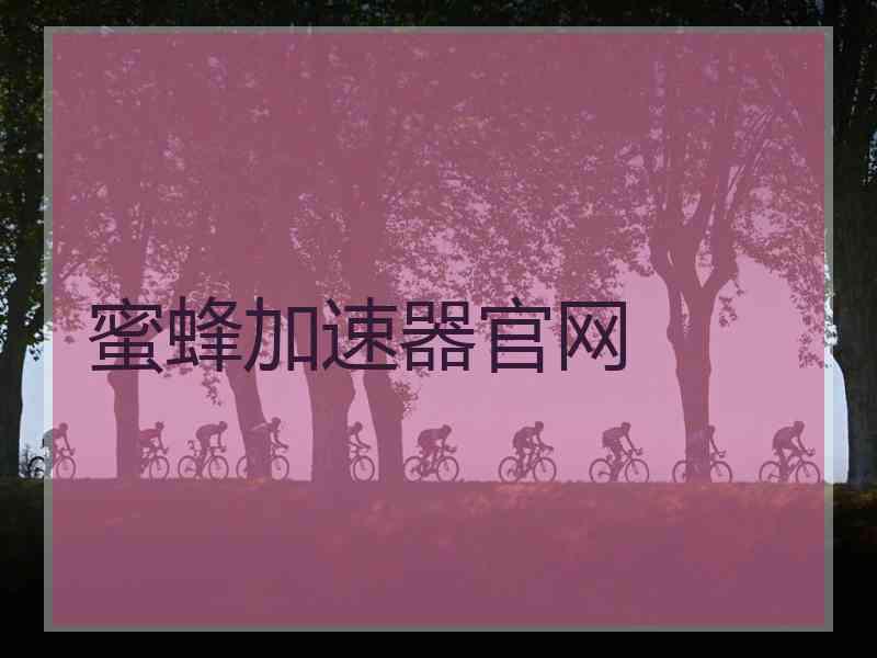 蜜蜂加速器官网