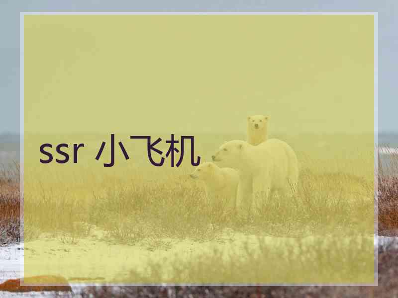 ssr 小飞机