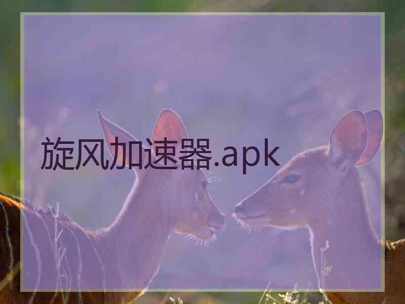 旋风加速器.apk