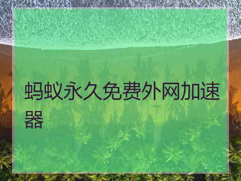 蚂蚁永久免费外网加速器