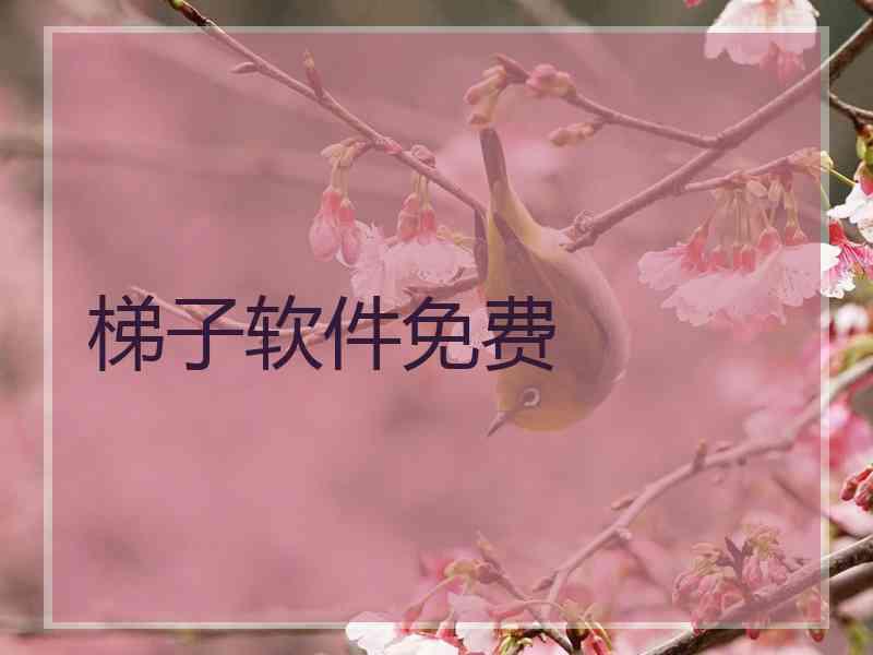 梯子软件免费