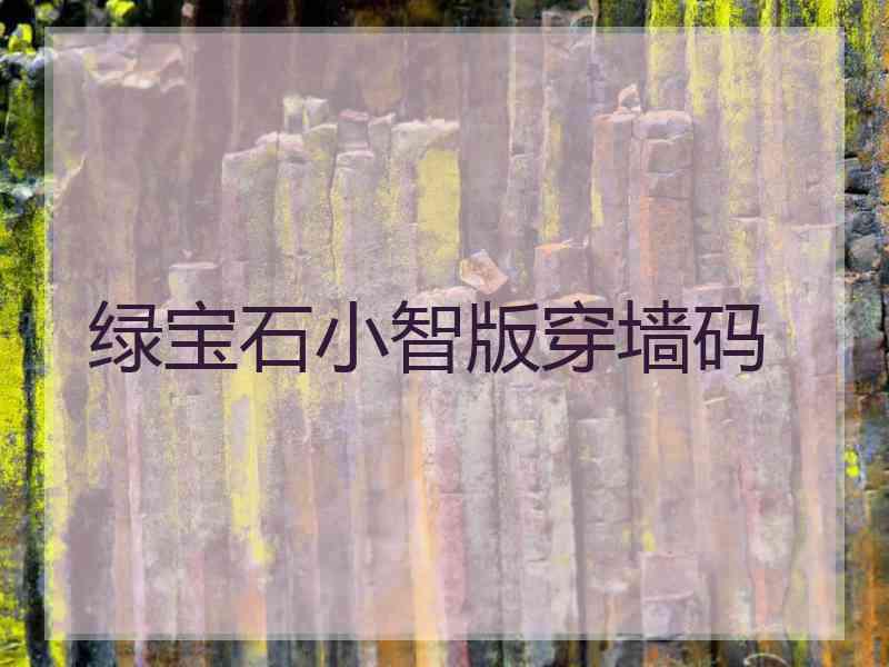 绿宝石小智版穿墙码