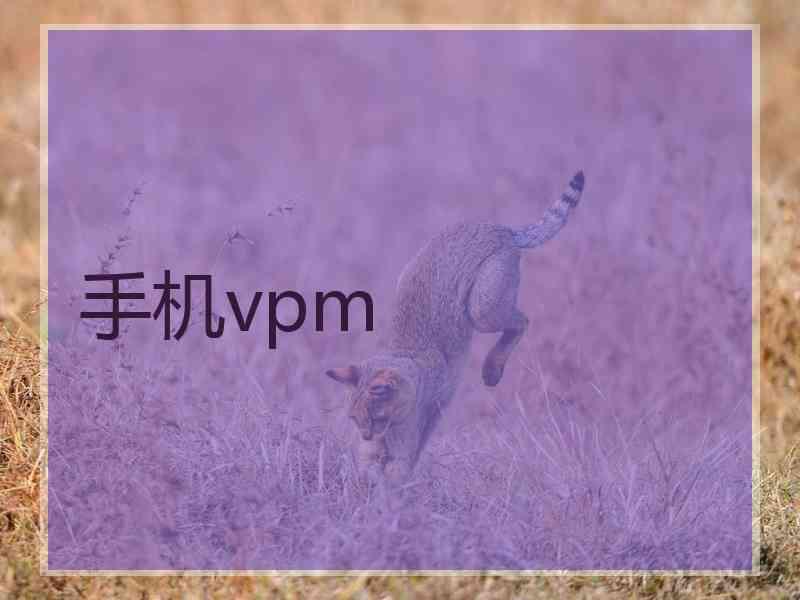 手机vpm