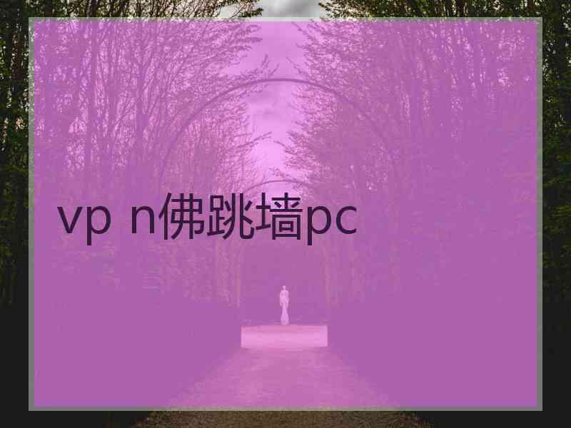 vp n佛跳墙pc
