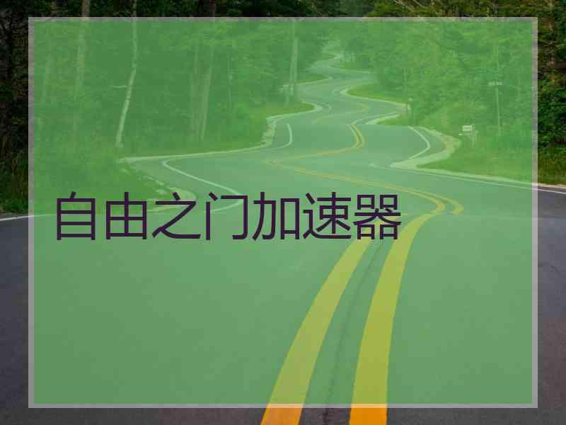 自由之门加速器