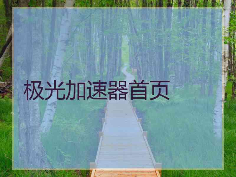极光加速器首页