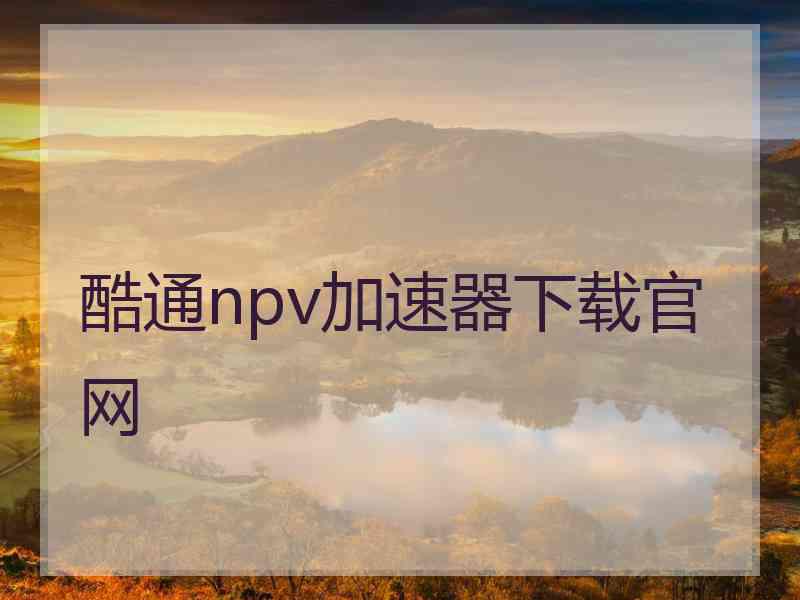 酷通npv加速器下载官网