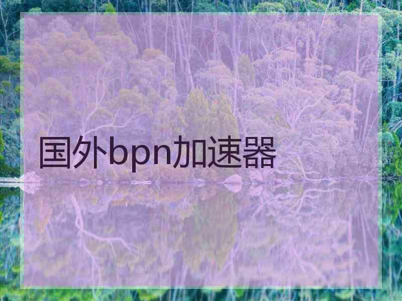 国外bpn加速器