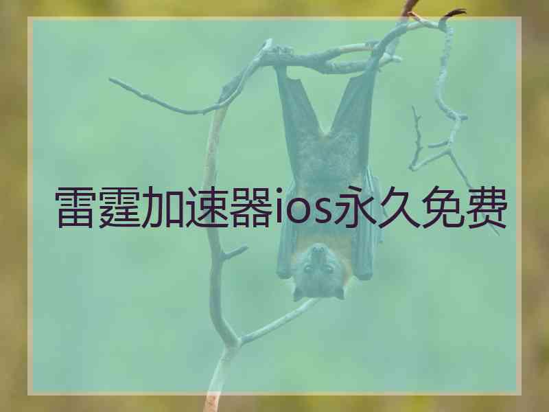 雷霆加速器ios永久免费