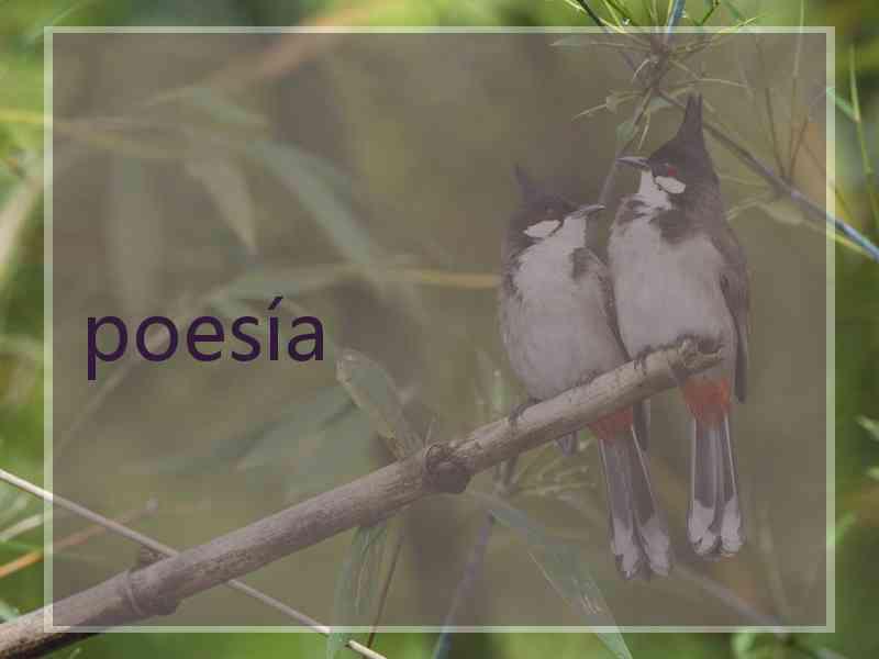 poesía