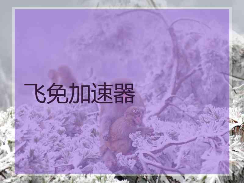 飞免加速器