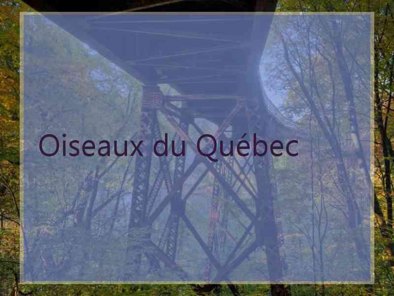 Oiseaux du Québec