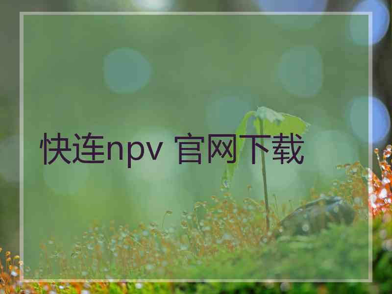 快连npv 官网下载