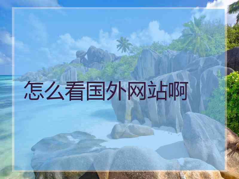 怎么看国外网站啊