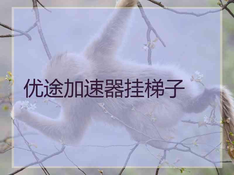 优途加速器挂梯子