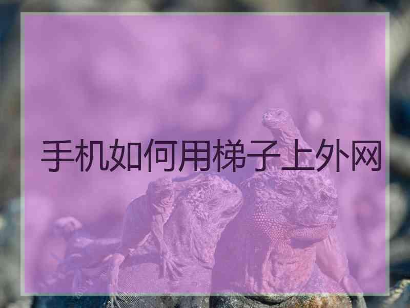 手机如何用梯子上外网