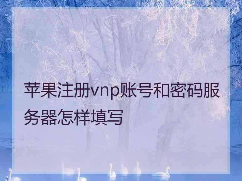 苹果注册vnp账号和密码服务器怎样填写