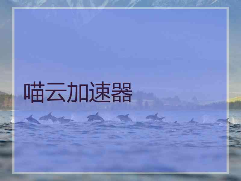 喵云加速器