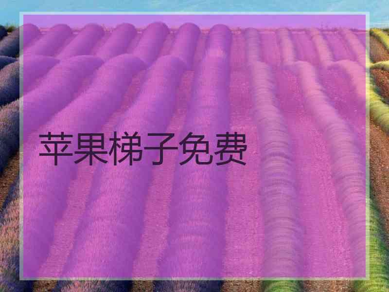 苹果梯子免费