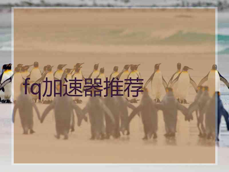 fq加速器推荐
