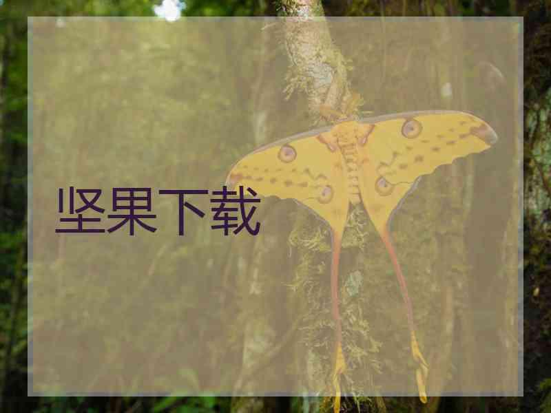 坚果下载