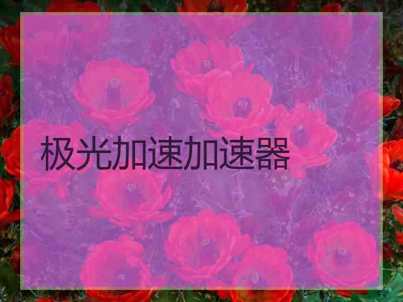 极光加速加速器