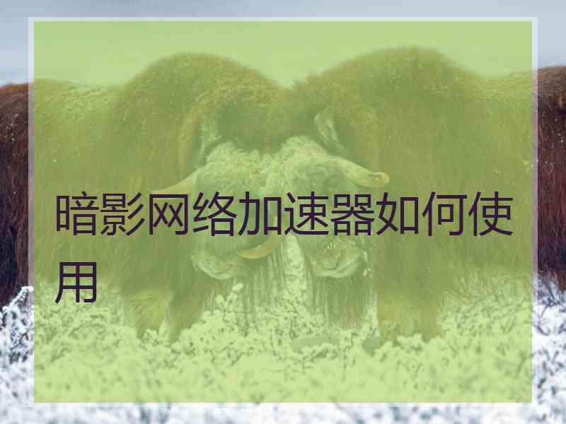 暗影网络加速器如何使用