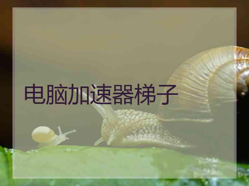 电脑加速器梯子