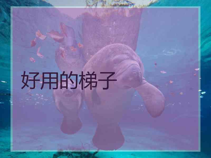 好用的梯子