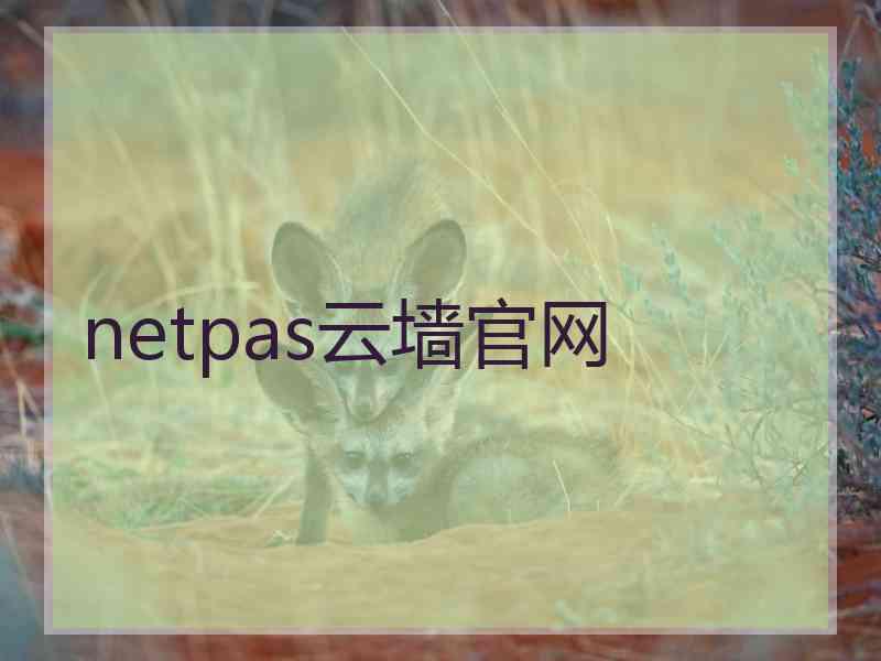 netpas云墙官网
