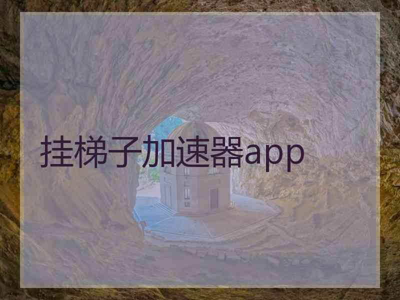 挂梯子加速器app