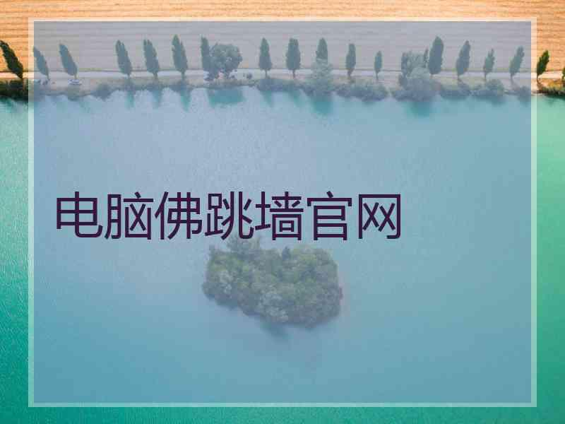 电脑佛跳墙官网