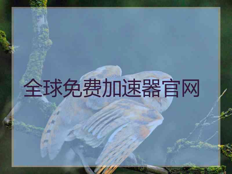 全球免费加速器官网