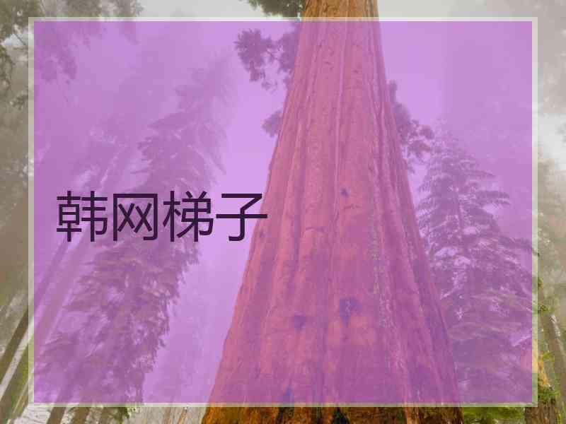 韩网梯子