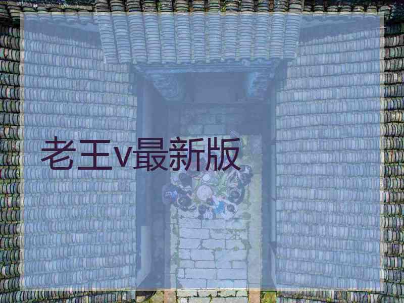 老王v最新版
