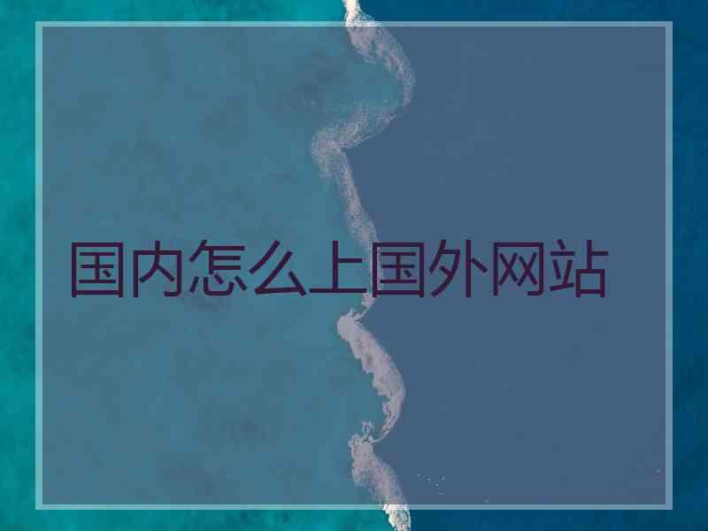 国内怎么上国外网站