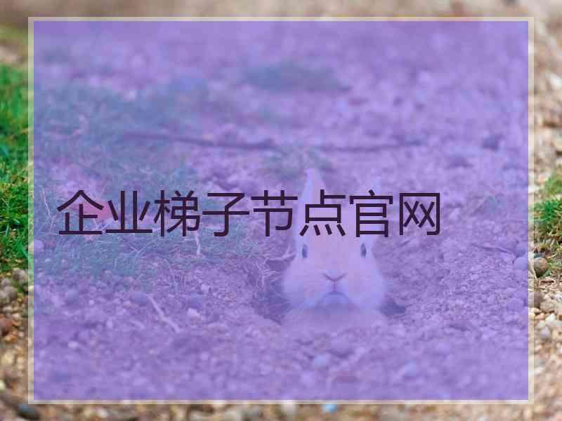 企业梯子节点官网