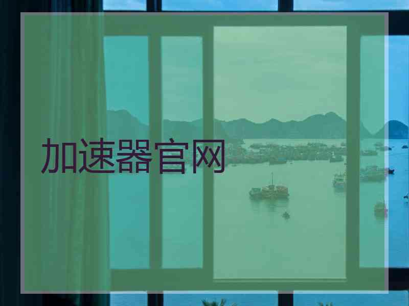 加速器官网