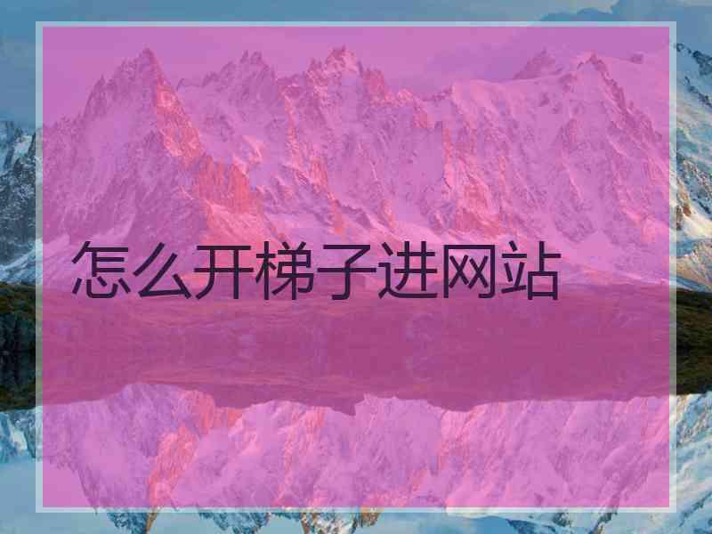 怎么开梯子进网站
