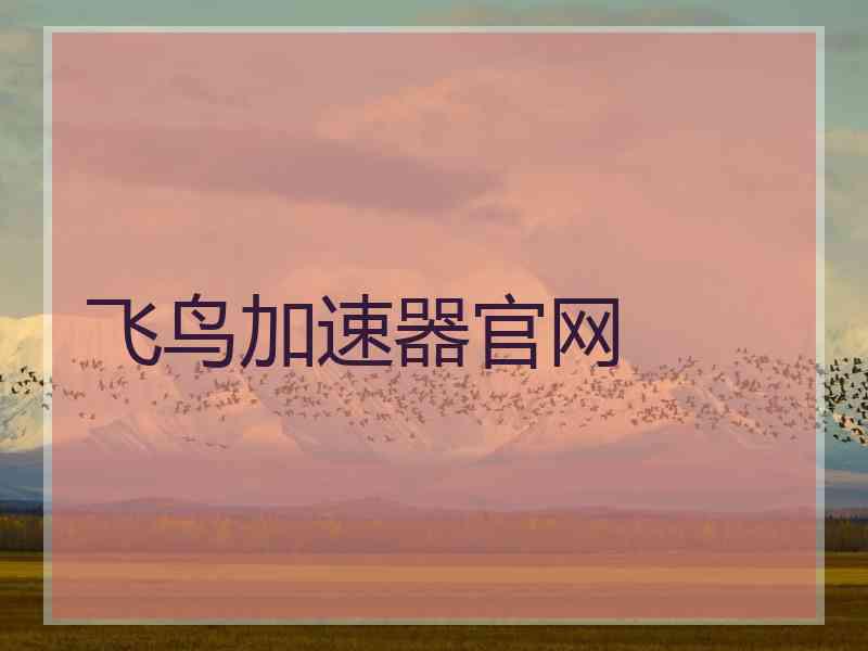 飞鸟加速器官网