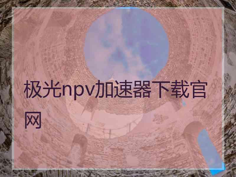 极光npv加速器下载官网