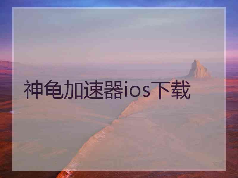 神龟加速器ios下载