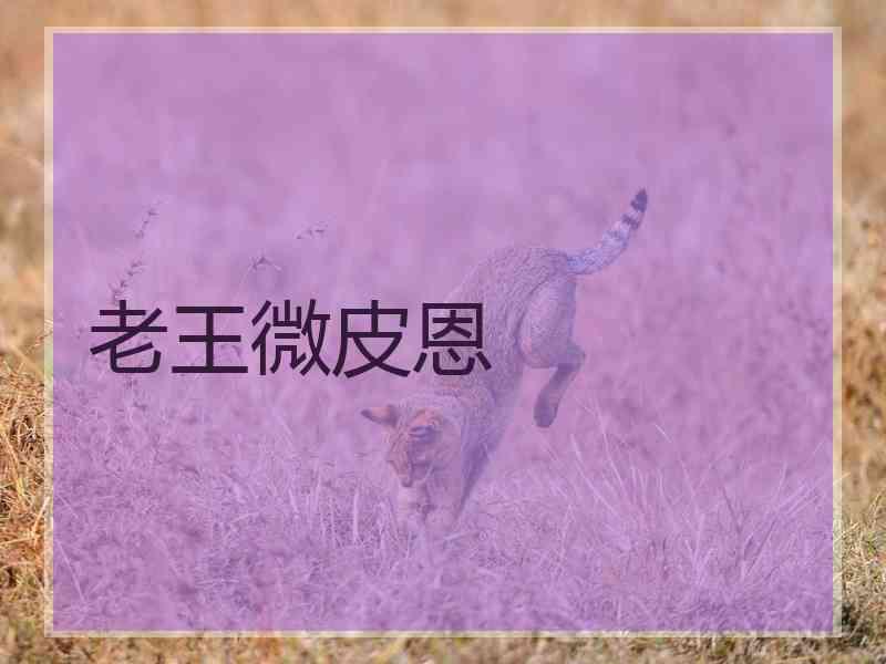 老王微皮恩