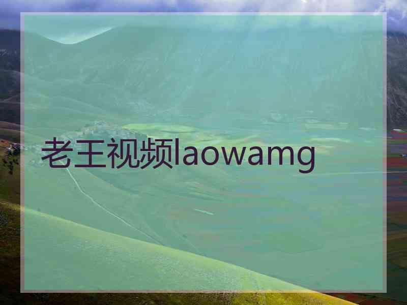 老王视频laowamg