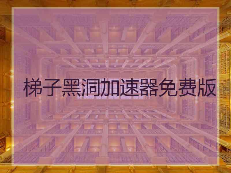 梯子黑洞加速器免费版