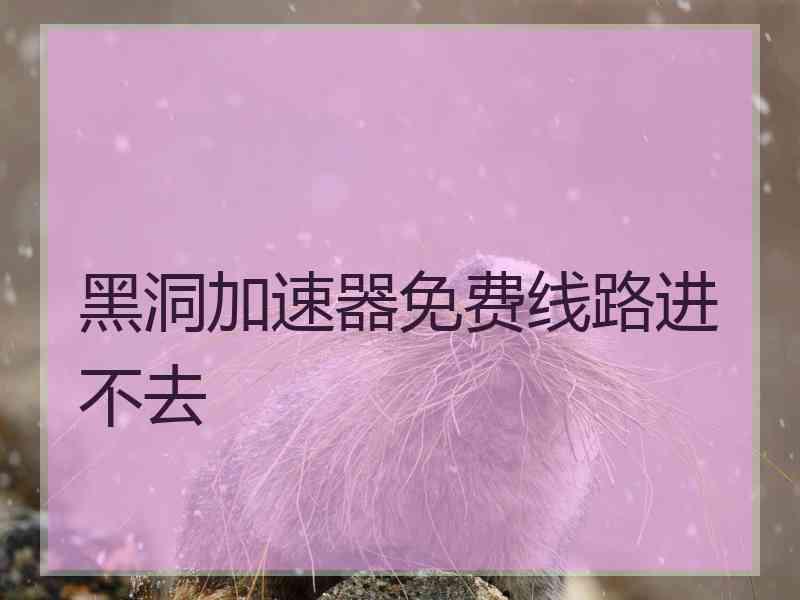 黑洞加速器免费线路进不去