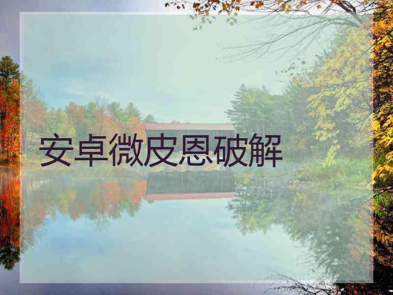 安卓微皮恩破解