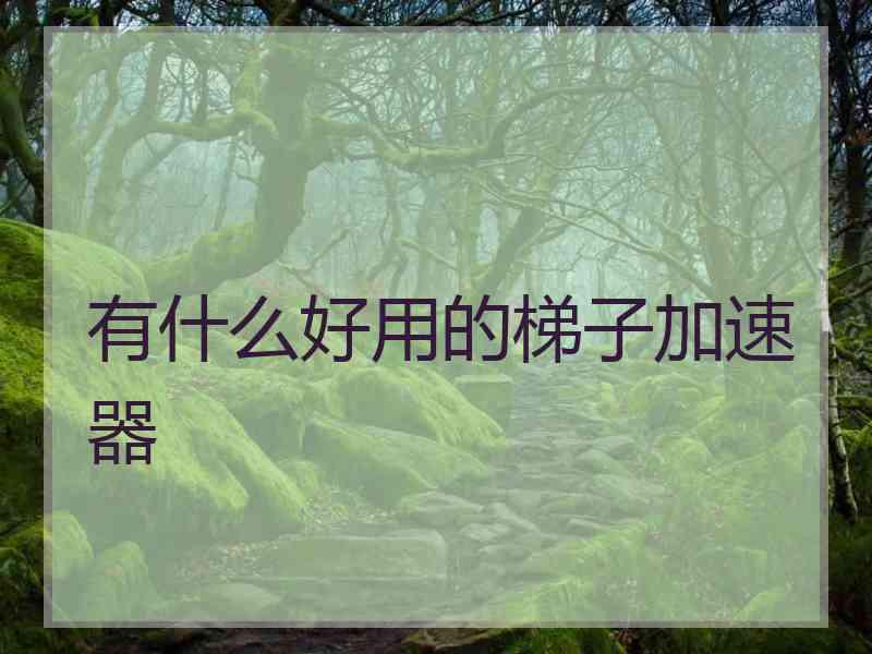 有什么好用的梯子加速器