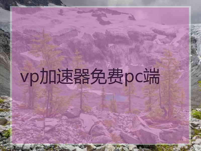 vp加速器免费pc端